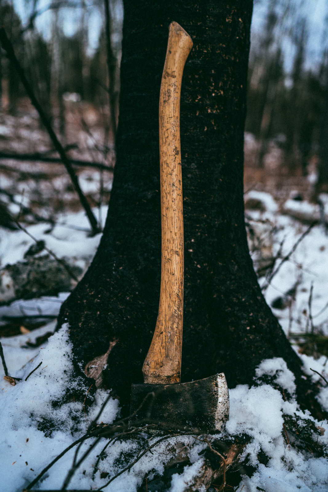 A7A01412_Kelley