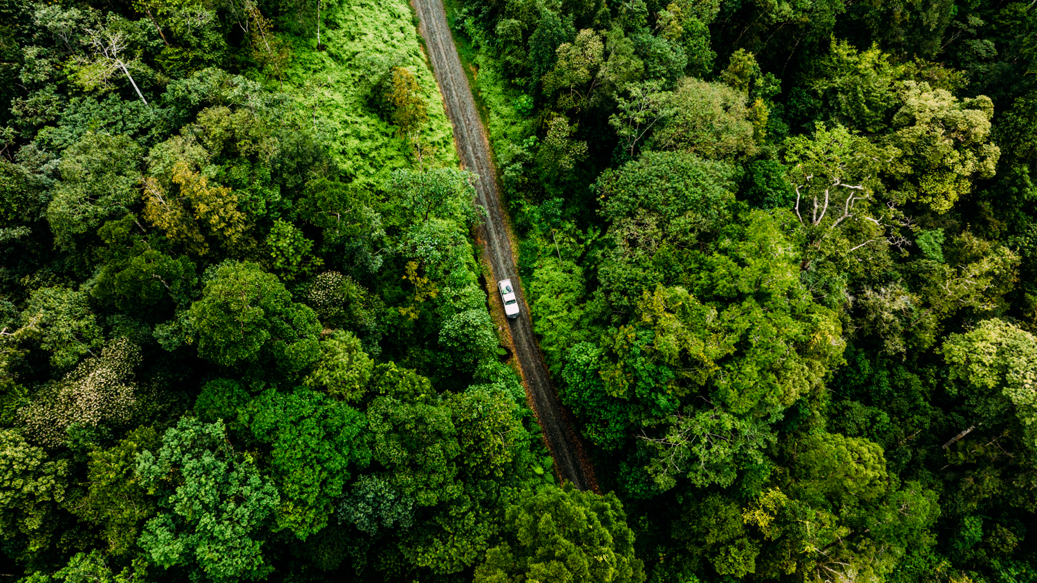 DJI_0683